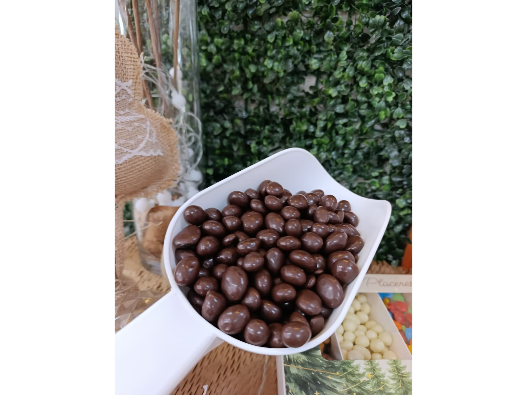 ARÁNDANOS BAÑADOS EN CHOCOLATE SEMIAMARGO