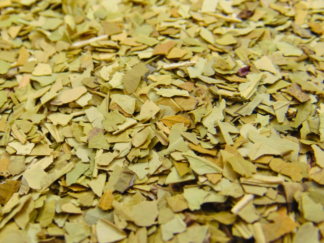 Yerba orgánica x 1/2 kg