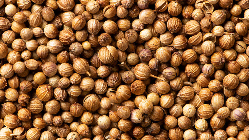 Cereales y Legumbres