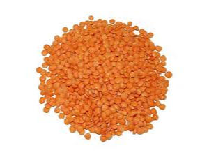 LENTEJA TURCA 1KG