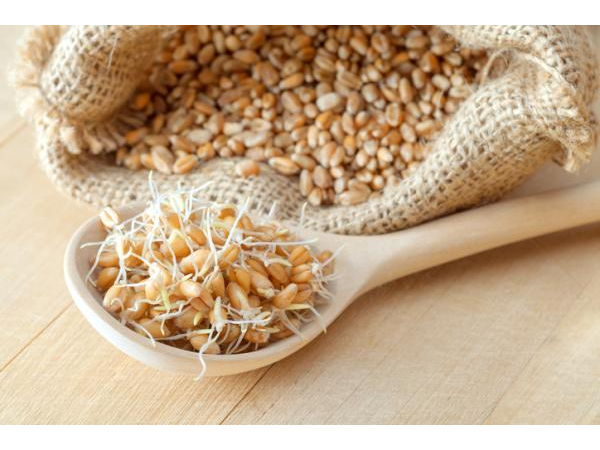 GERMEN DE TRIGO X KG