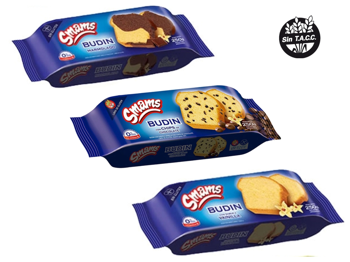 BUDIN  SMAMS