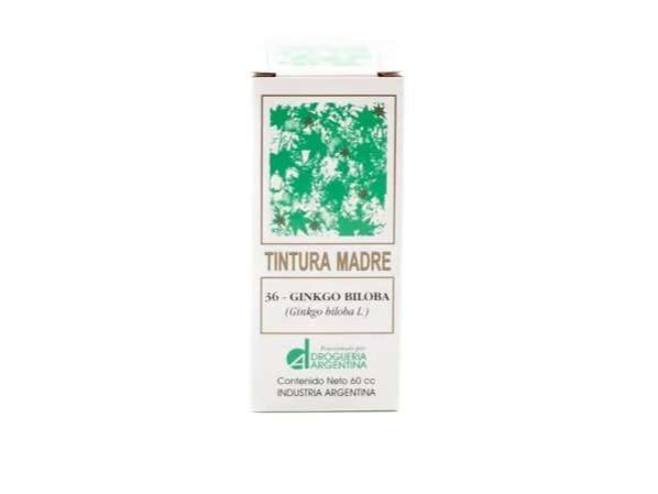 GINKGO BILOBA GTS