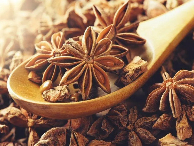 ANIS ESTRELLADO X 10G