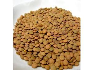 LENTEJON 1KG