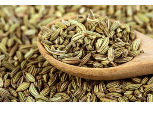 HINOJO EN SEMILLA X 100G