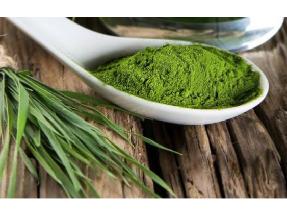 SPIRULINA EN POLVO 100G