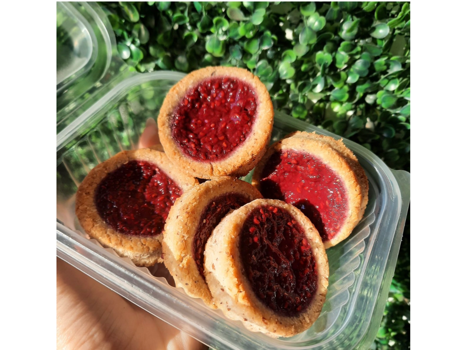 PEPAS DE FRUTOS KETOSUR x 6