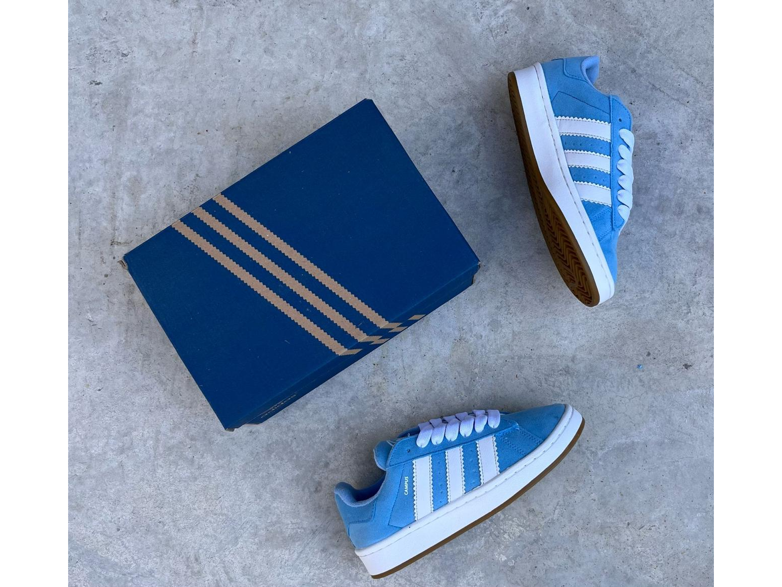 ADIDAS CAMPUS (celeste)