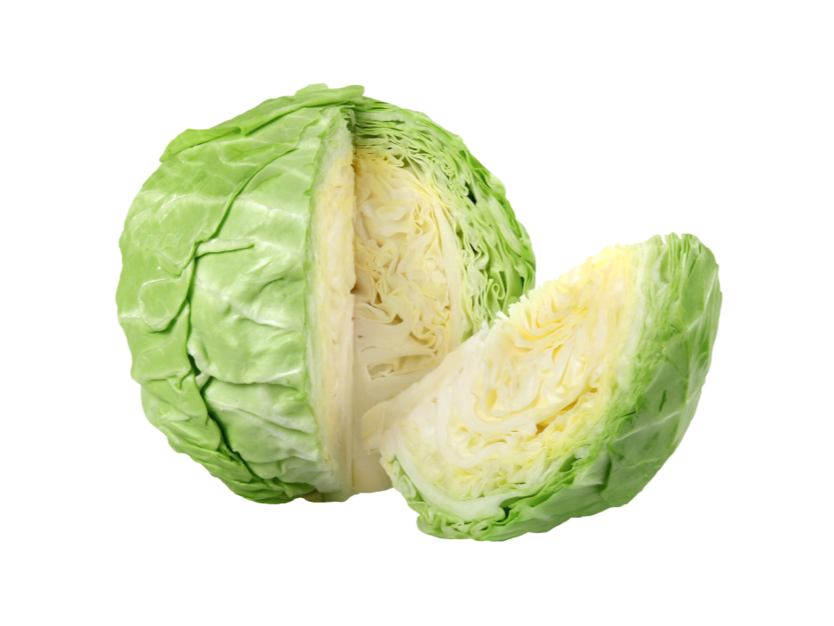 Repollo blanco