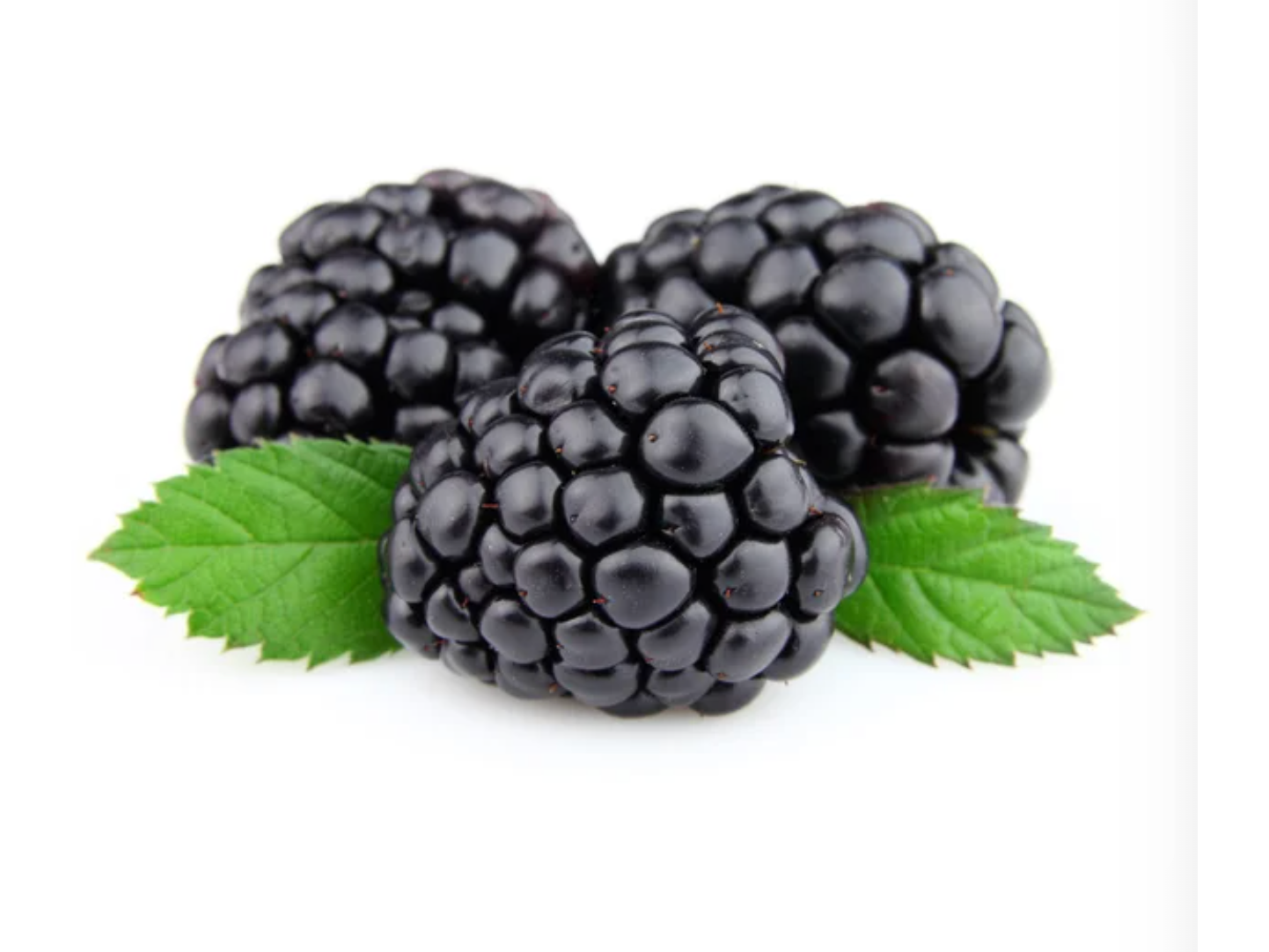 Moras