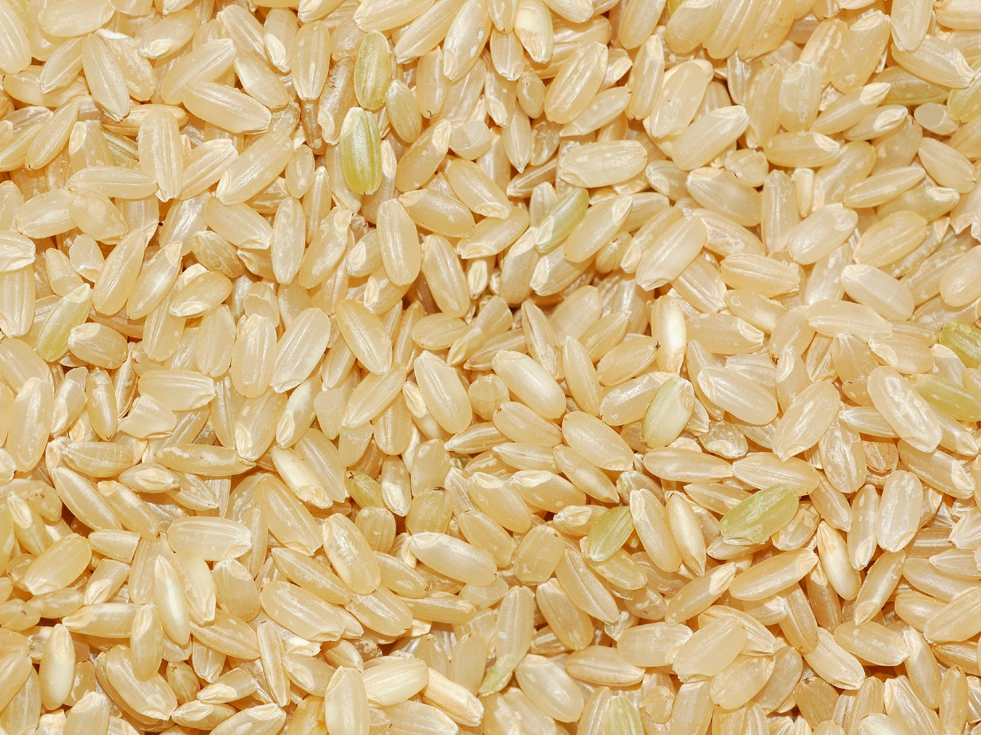 Arroz Yamaní Integral de El Almacén Natural