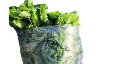 Bolsones Agroecológicos Mujeres de la Tierra