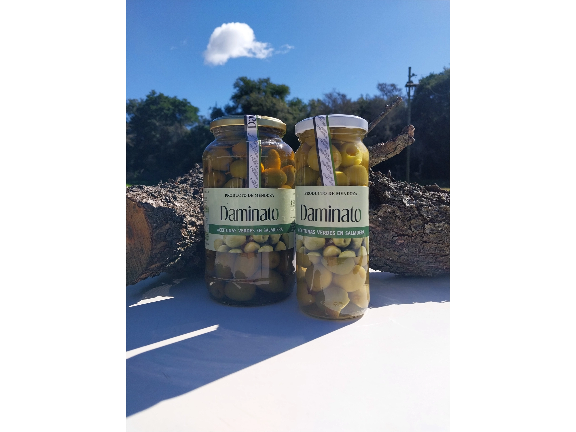 Aceitunas Verdes Descarozadas por 370g (Daminato)