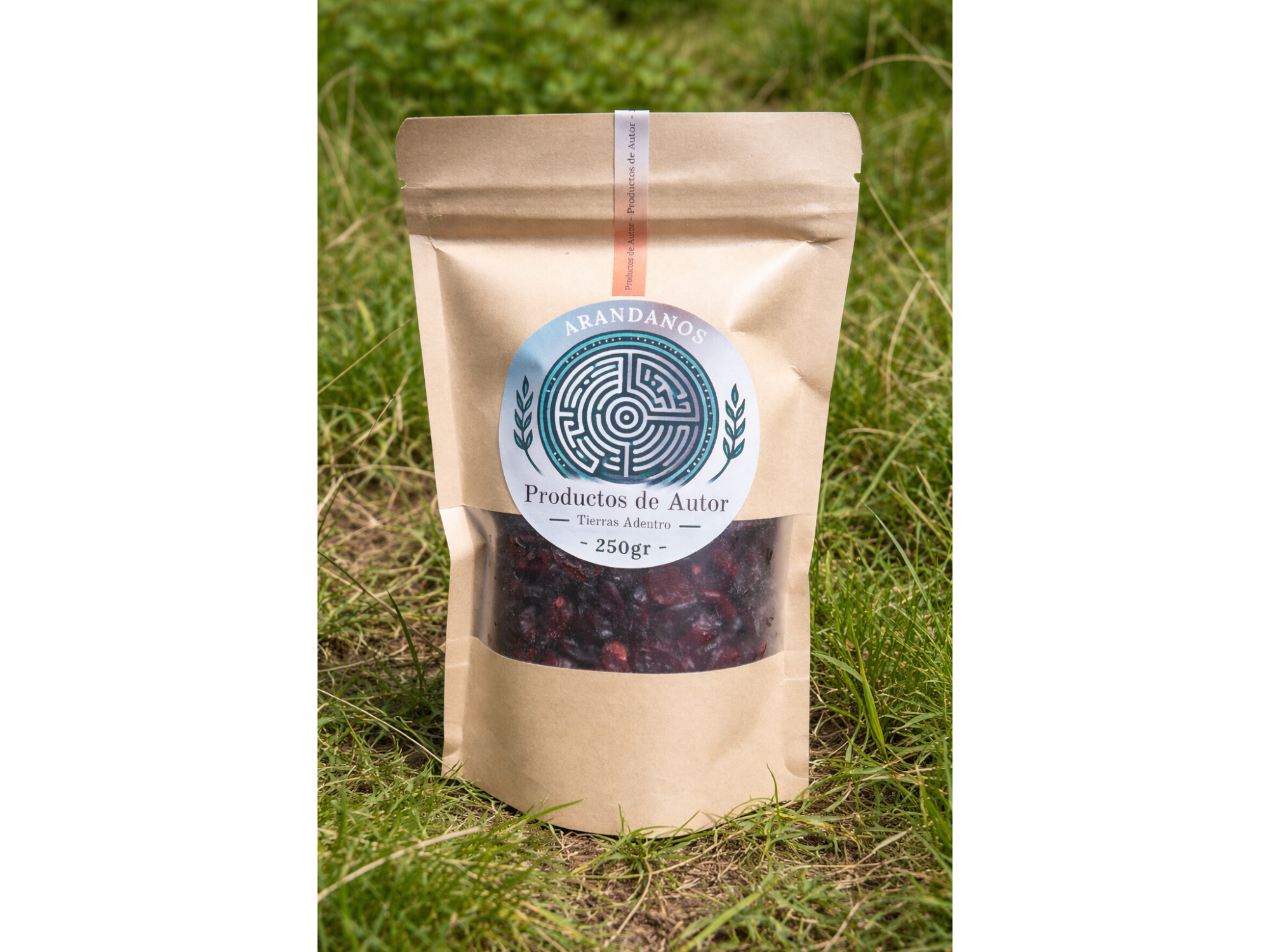 Arandanos Deshidratados por 250 gr.