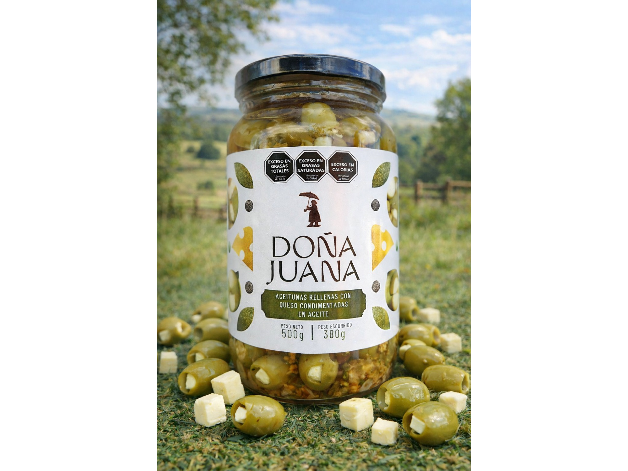 Aceitunas Rellenas con Queso  por 500g (Doña Juana)