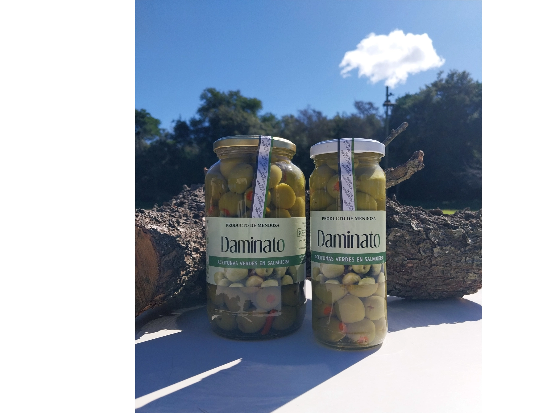 Aceitunas Verdes Rellenas con Morrón por  370g (Daminato)