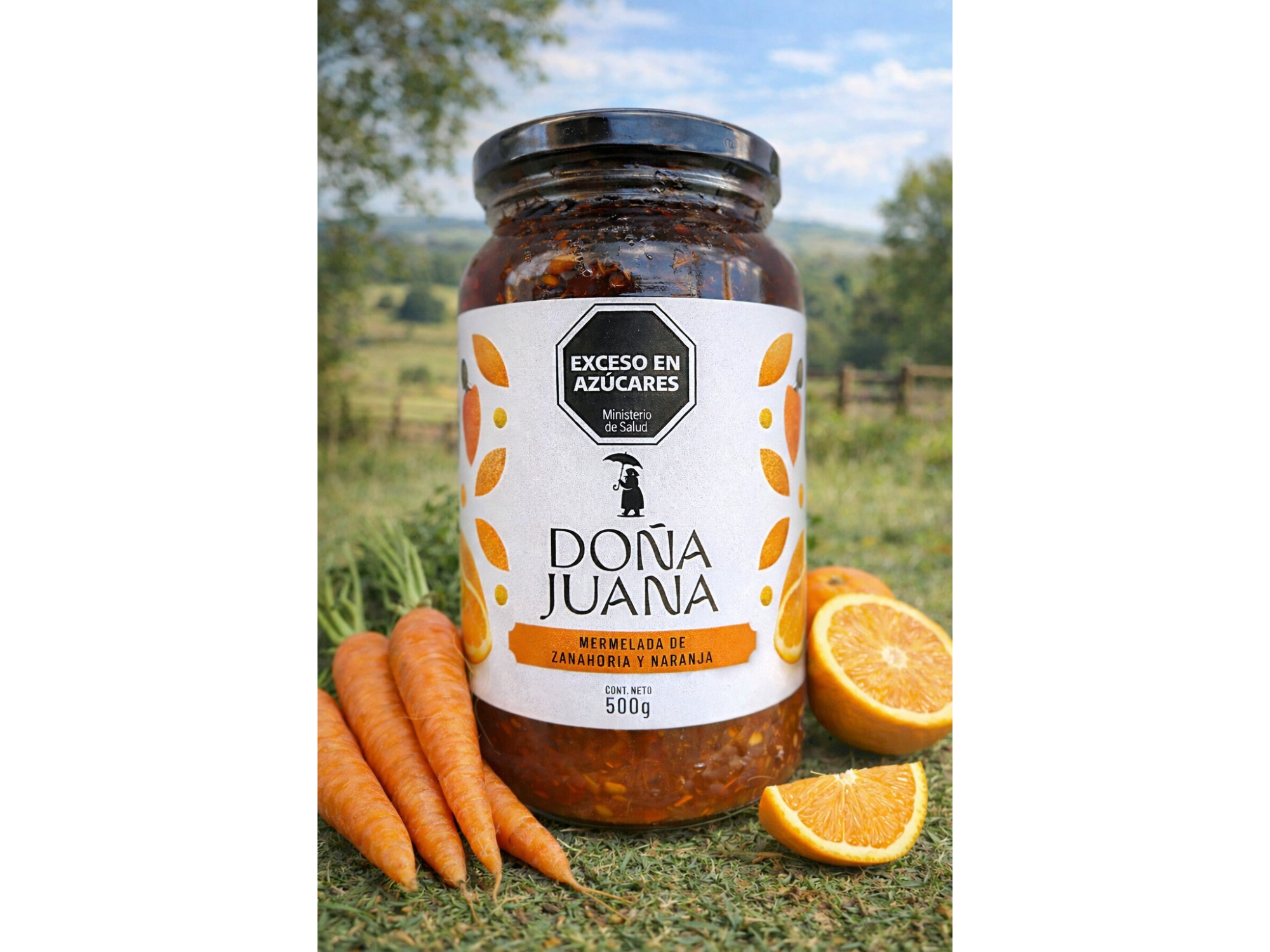 Mermelada de Zanahoria con Naranja por 500g (Doña Juana)