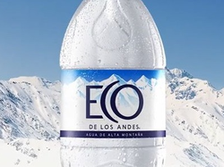 Agua sin gas Eco de los Andes 500cc