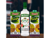 COMBO (SMIRNOFF SABORIZADO + 2 BAGGIO 1L)