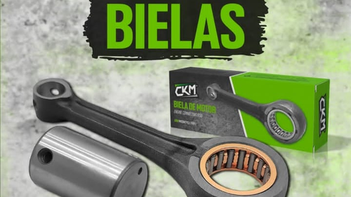 BIELA