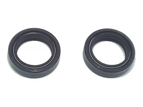 JUEGO RETEN SUSPENSION RX/TITAN 150 (31x43x10.5)