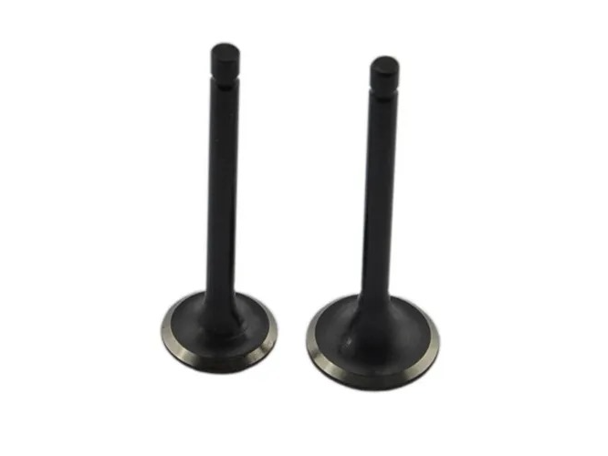 VALVULA RX 150 (SET x2) CKM