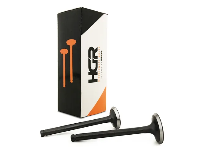 JUEGO VALVULAS  110 HGR (CALIDAD ORIGINAL)