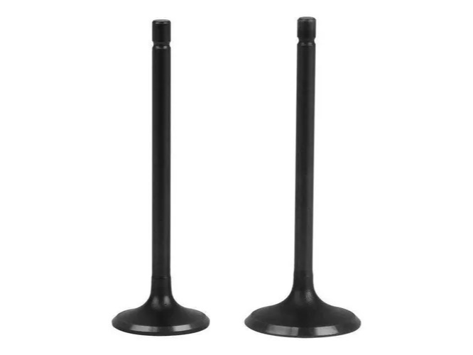 VALVULA XPLORA/SKUA250 (SET x2)