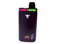MENTHOL MANGO PEACH WATERMELON