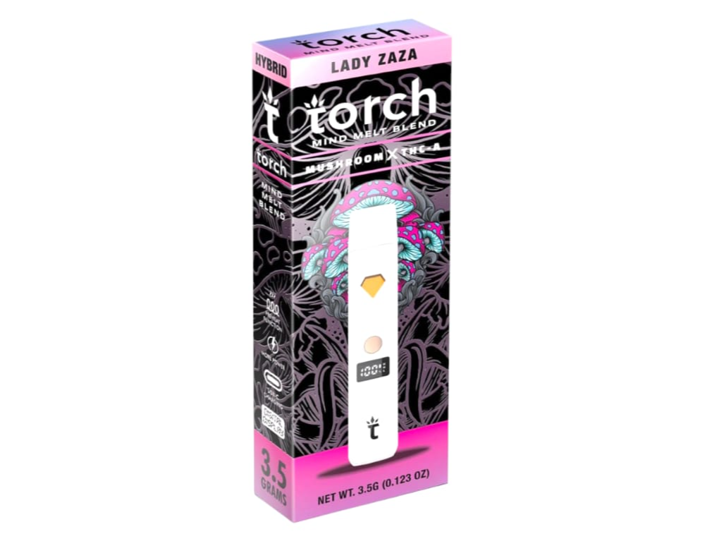 TORCH 3.5