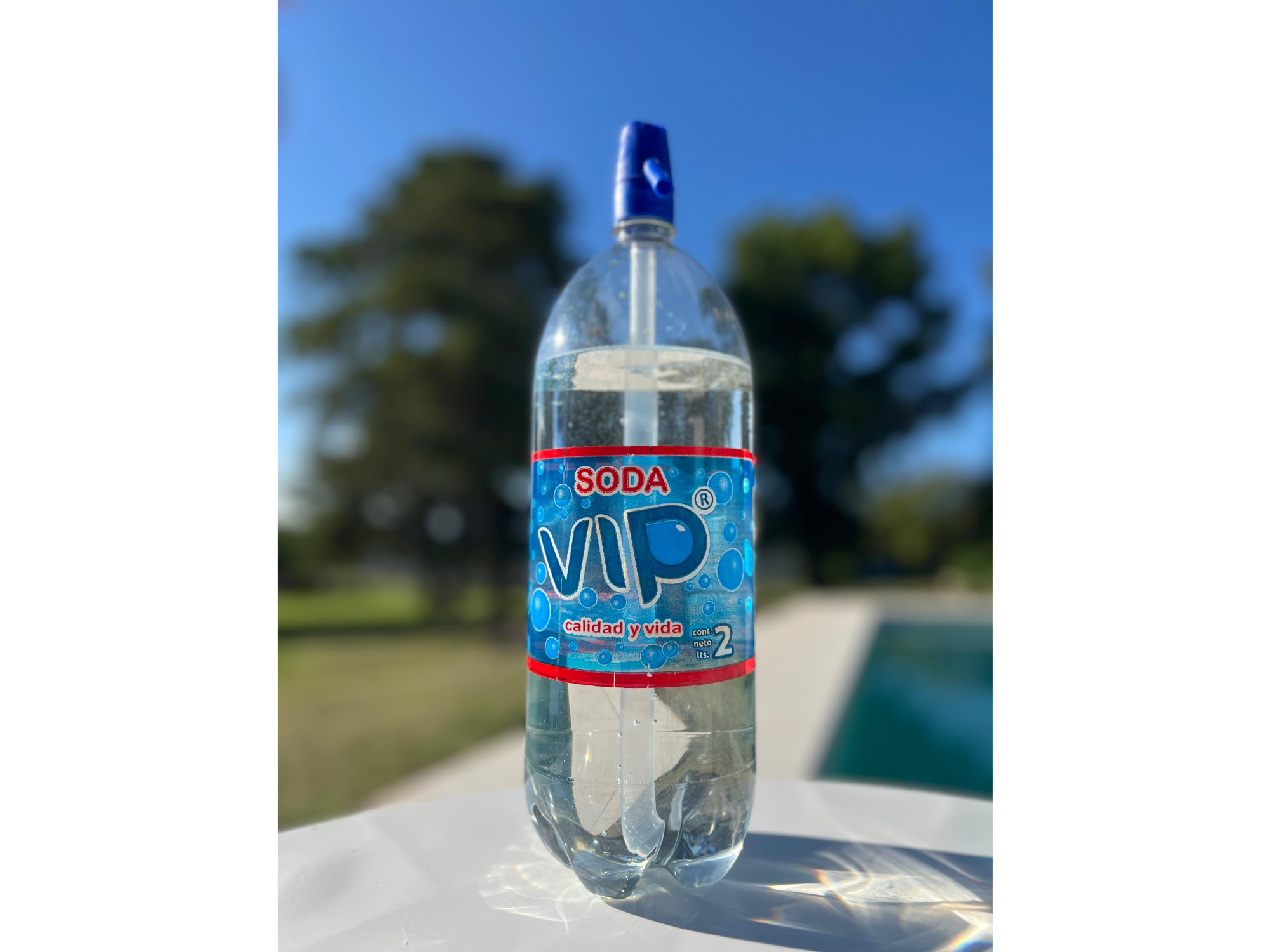 Pallet Soda 2 litros