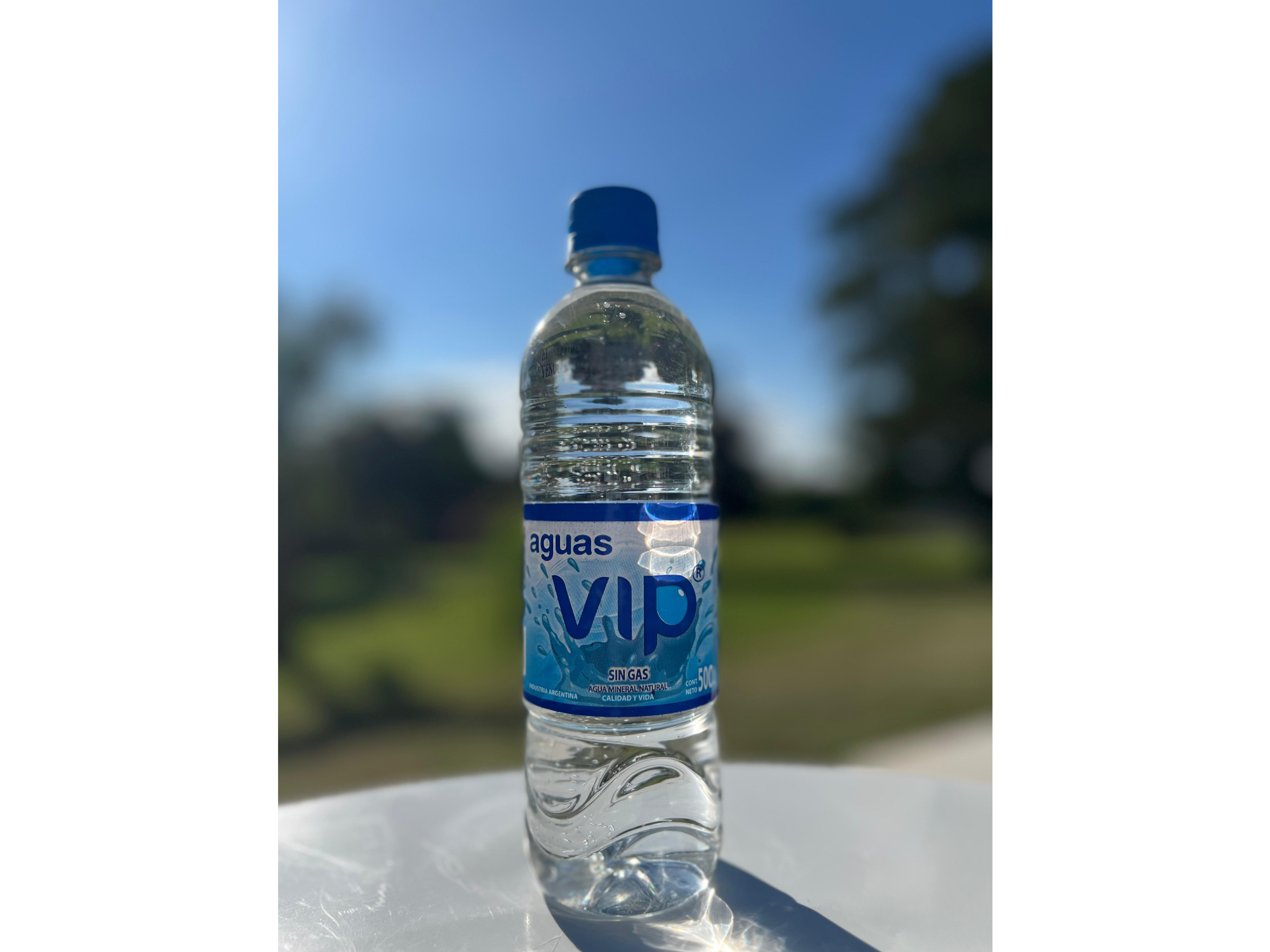 Pack x 12 unidades de 500 cc