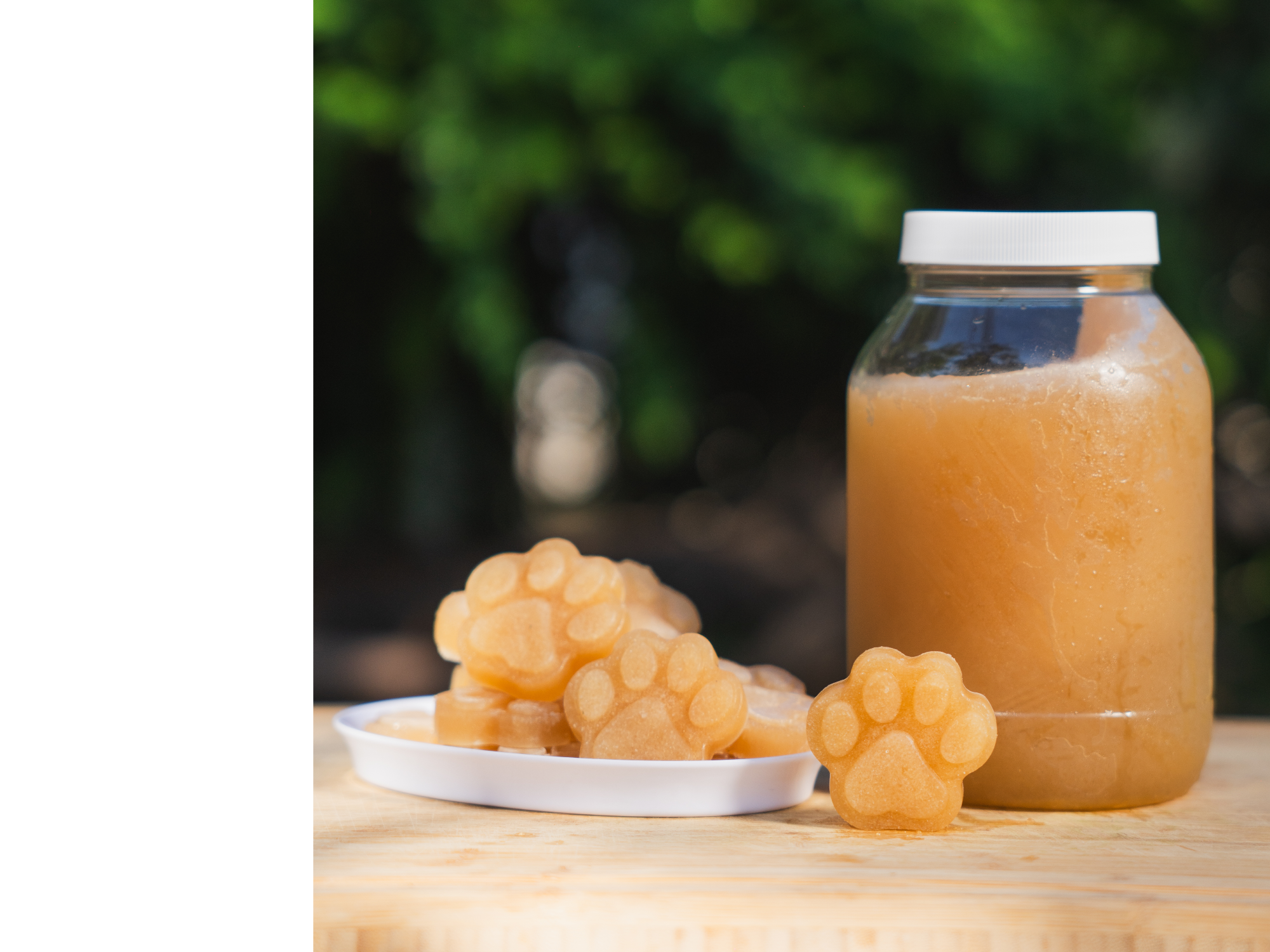 Gelatina de colágeno