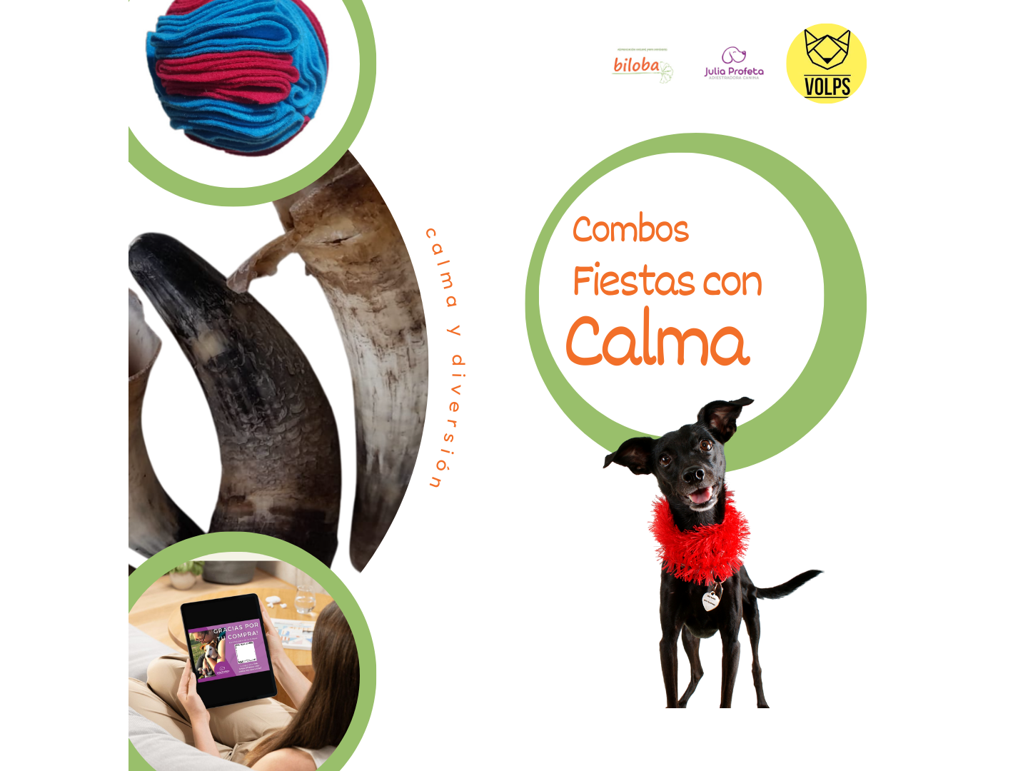 Combo 1 - Fiestas con Calma + E-book