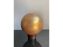 Pelota Fútbol