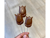 Paleta tulipán