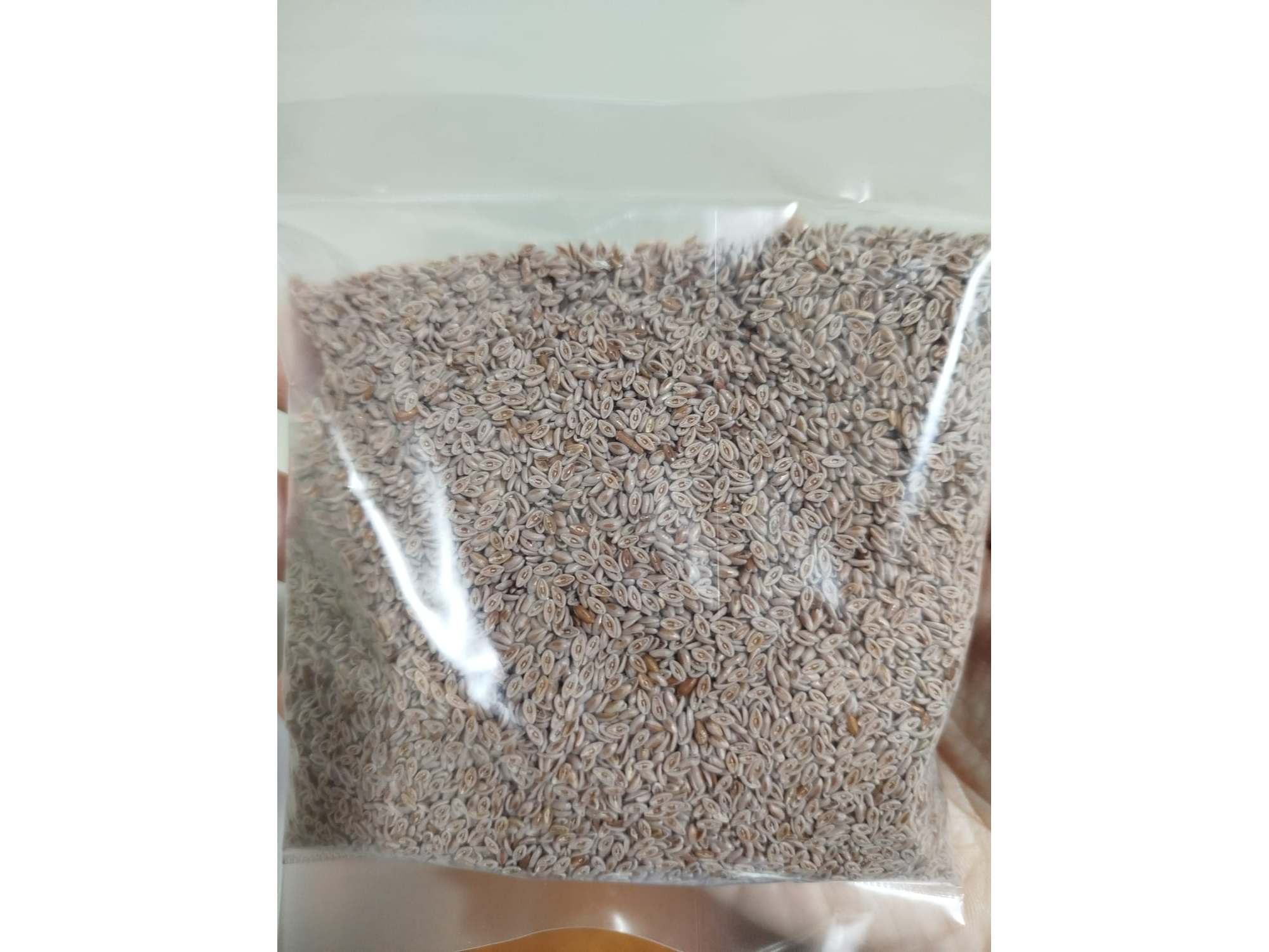 Psyllium 100g