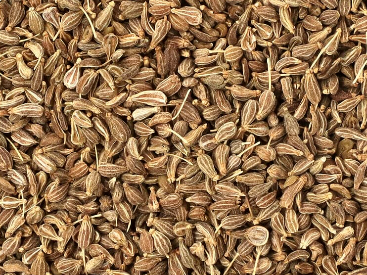 Anís en grano