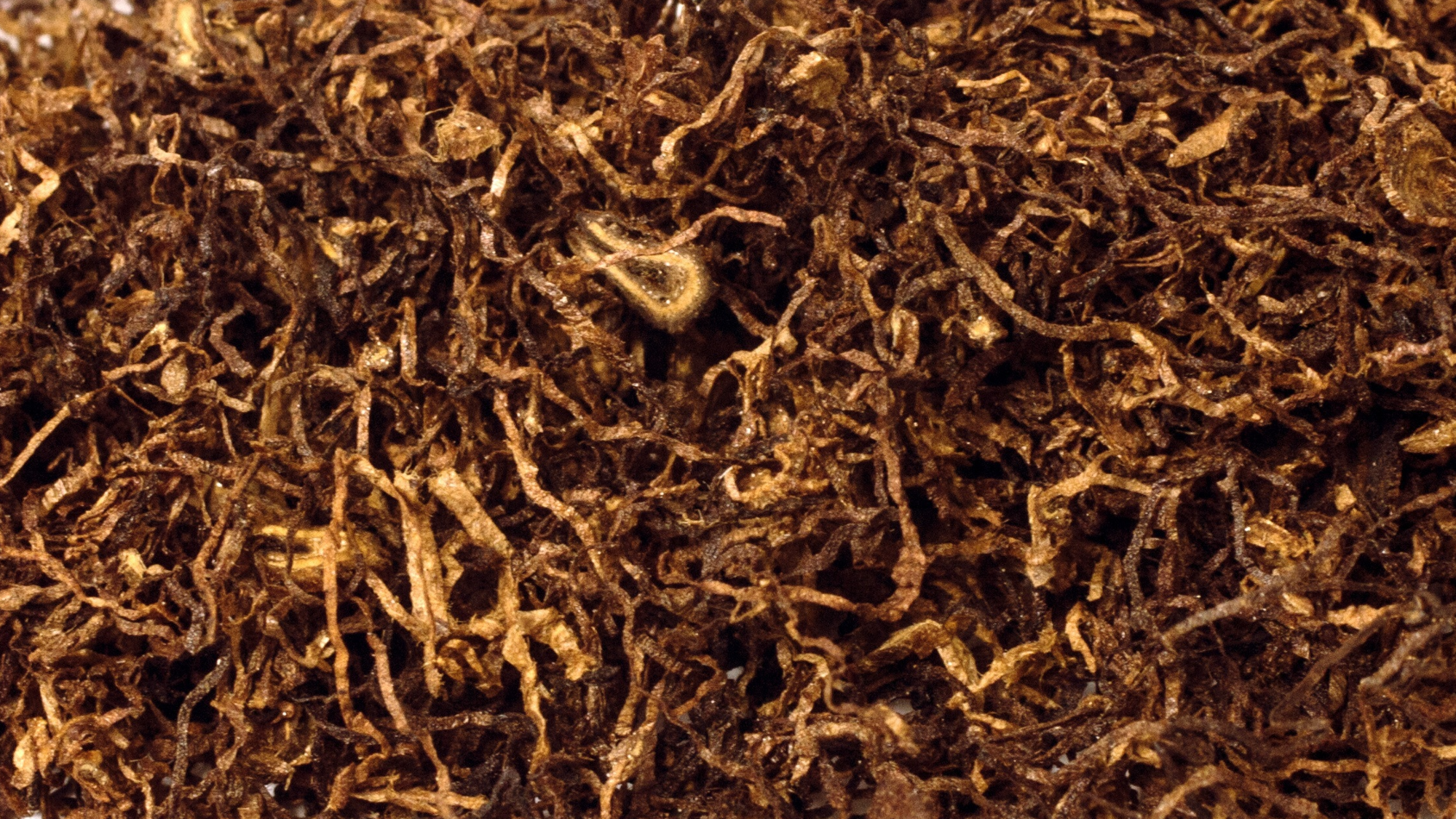 Tabaco