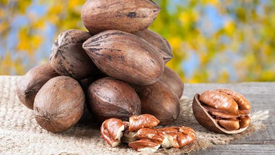 Nuez pecan y derivados