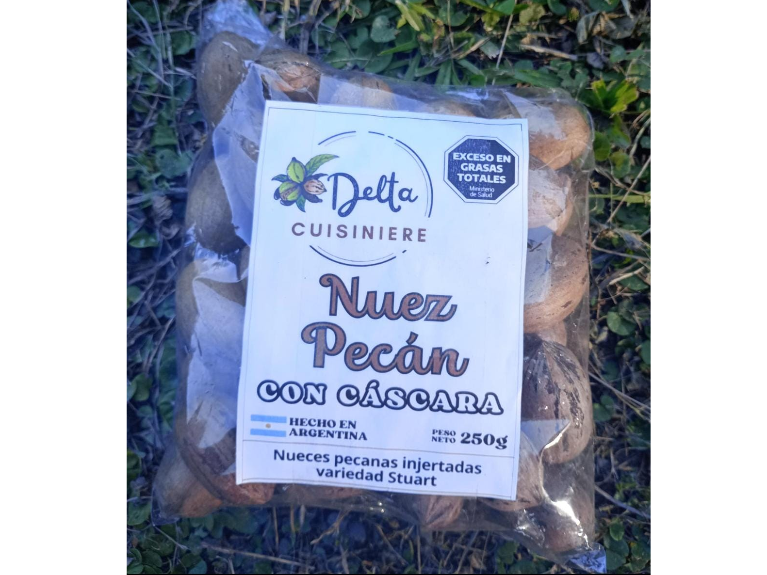 Nuez pecan con cascara