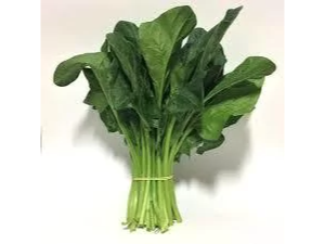Espinaca