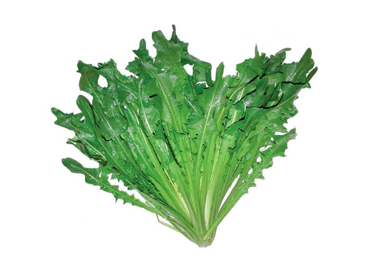 Achicoria atado (130g)