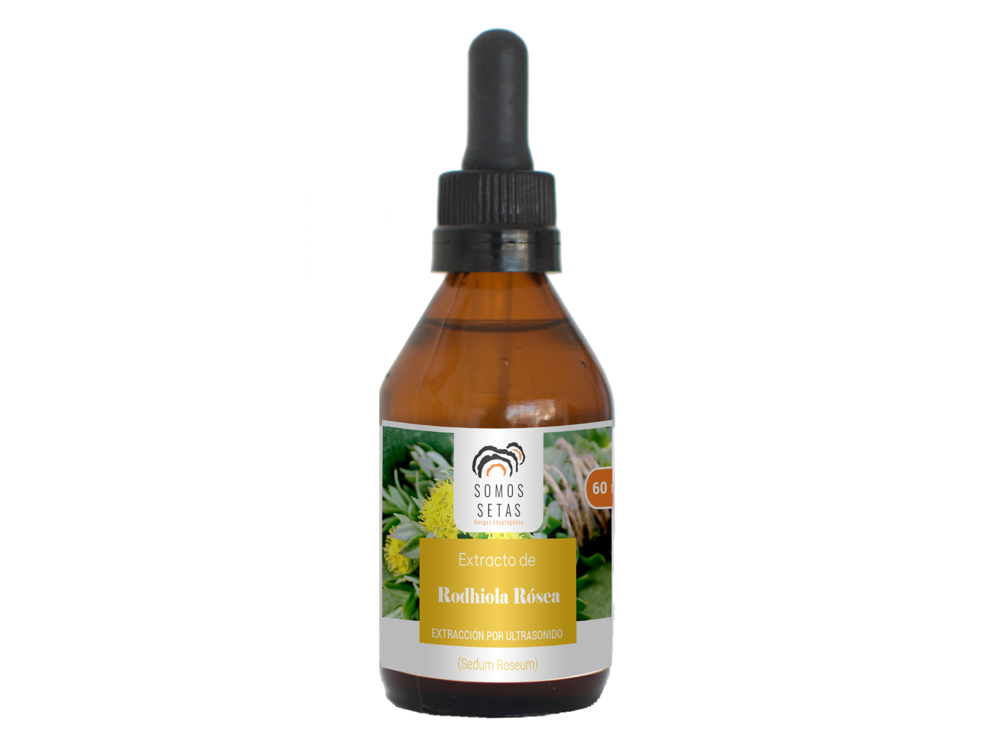 RHODIOLA  GOTAS X 60CC