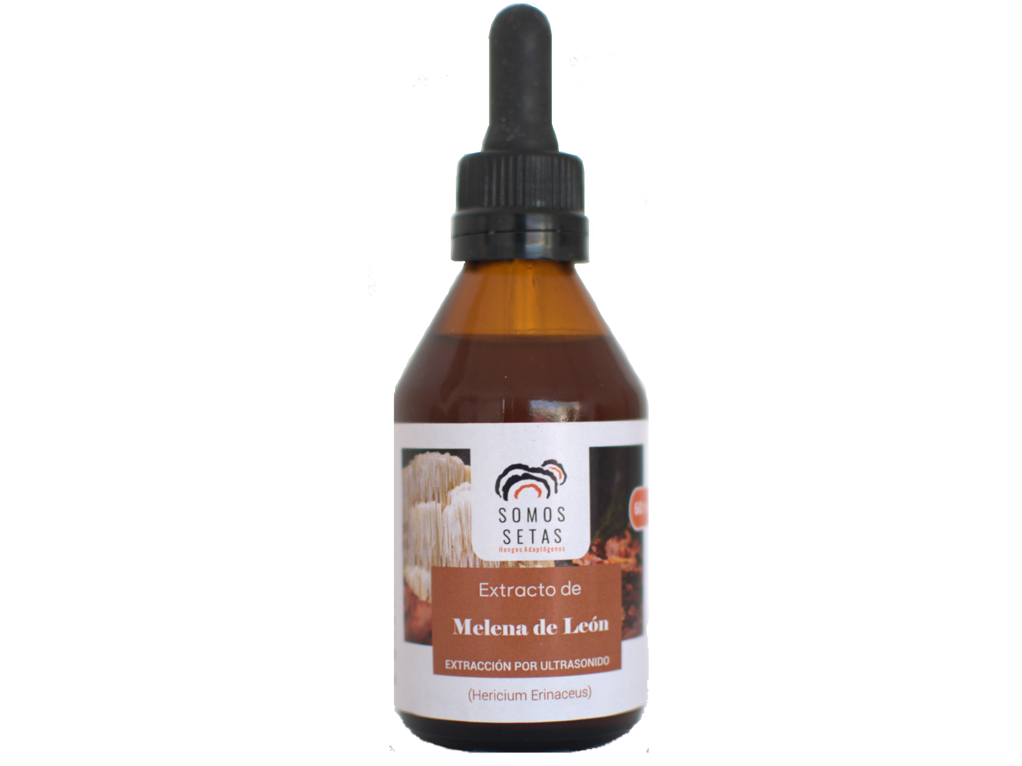 MELENA DE LEÓN  GOTAS x 60 cc