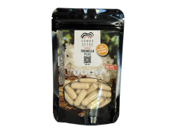 TREMELLA PLUS  + (COLAGENO) 500mg x 60un