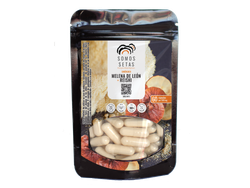 MELENA + REISHI 500mg x 60un