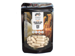 MELENA + CORDYCEPS 500mg x 60un