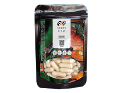 REISHI 500mg x 60cc